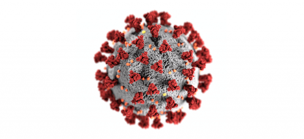 COVID-19: IRB receives EU emergency research funding