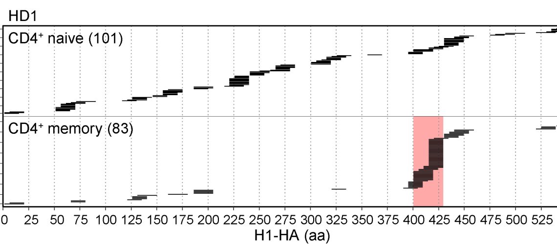Cassotta JEM DBIOL_July2020