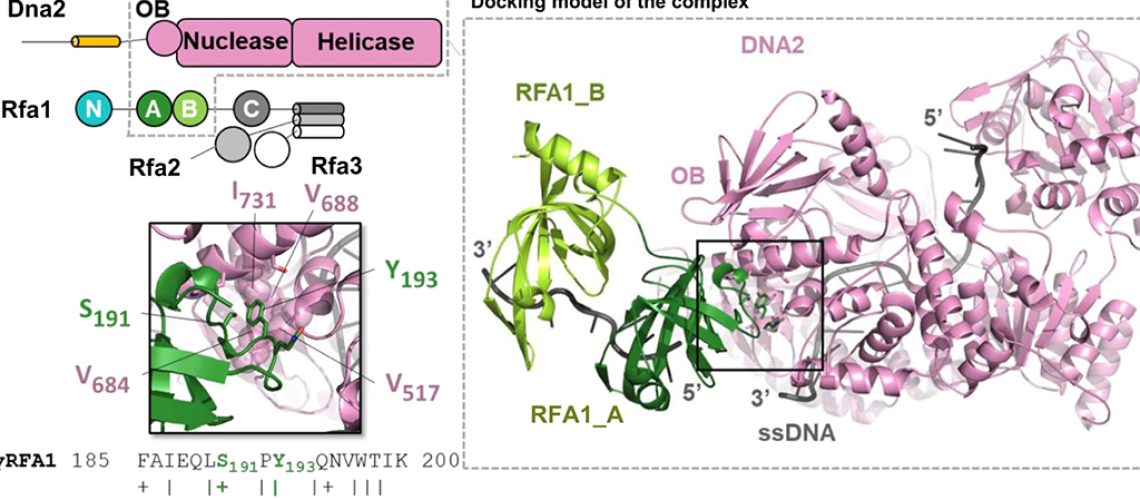 Cejka_Nature_dec2021_slider