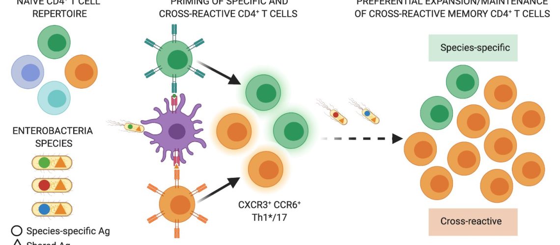 EJI_Cassotta_Sallusto_Nov2020