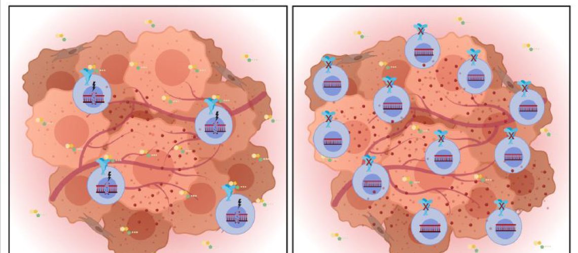 Figure_1_CancerRes_Grassi_July2020_feature