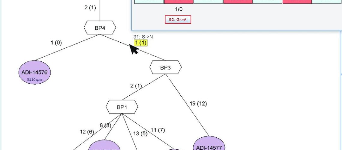 Foglierini_paper_July2020