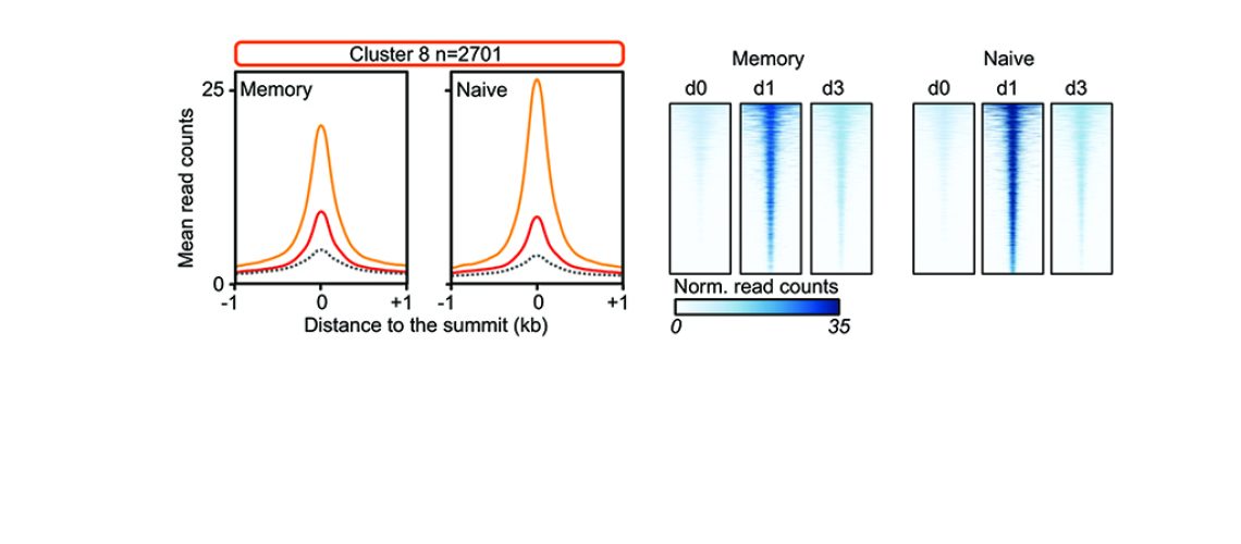 Foto_PloSBiology_Chiricchela_Feb2022v3