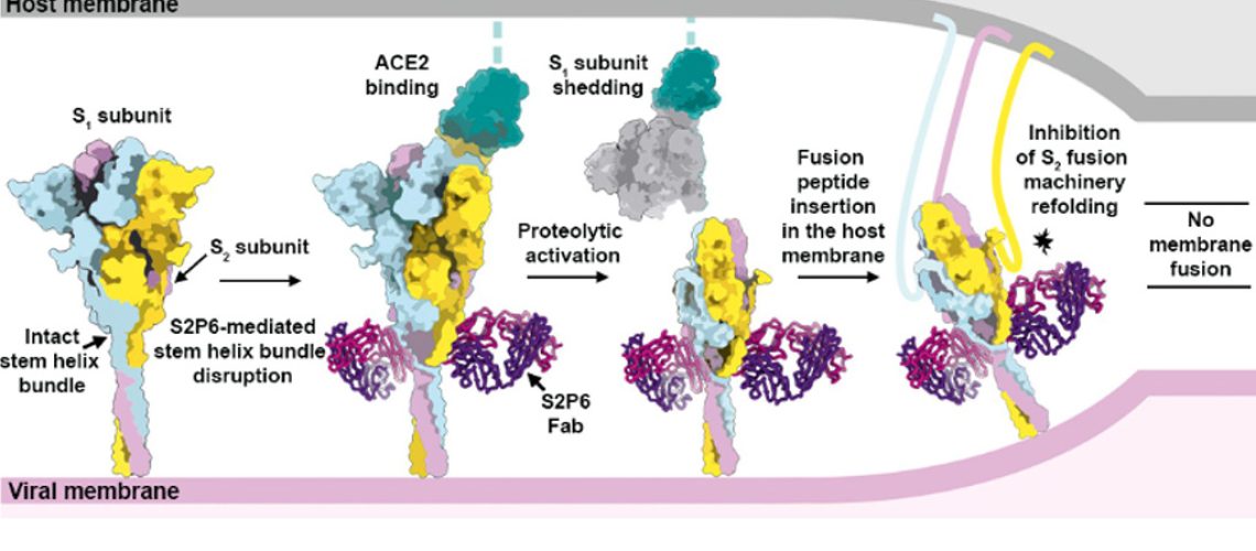 Jun_Science_August2021_1024