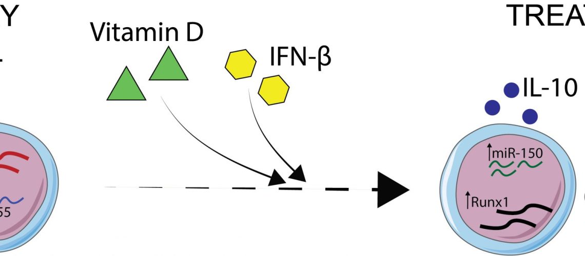 Picture_FrontImmunol_SM_Dec2020