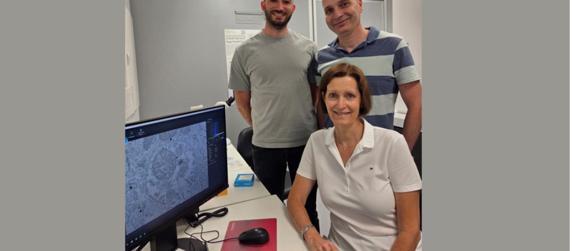 Picture_NatCellBiol_MMO_2025 copy