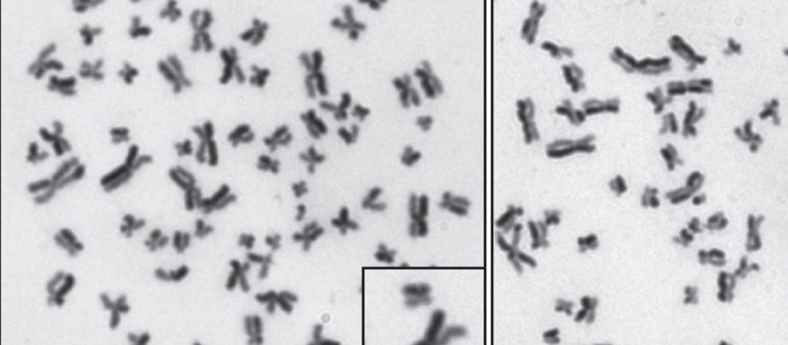 ScenceAdv_Feb2022_1024_576