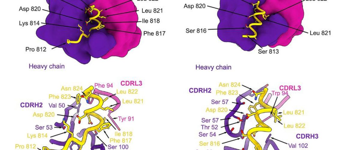 Science_JunLow_July2022_slider