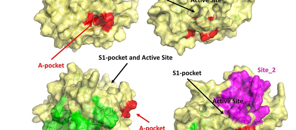Sgrignani_April2021_1024x576