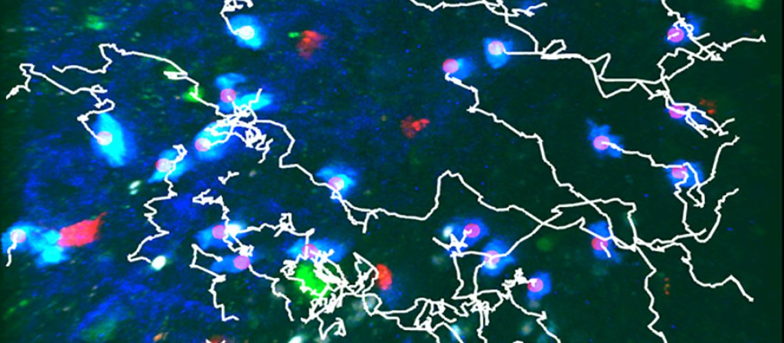 Workshop_SFG_May2022